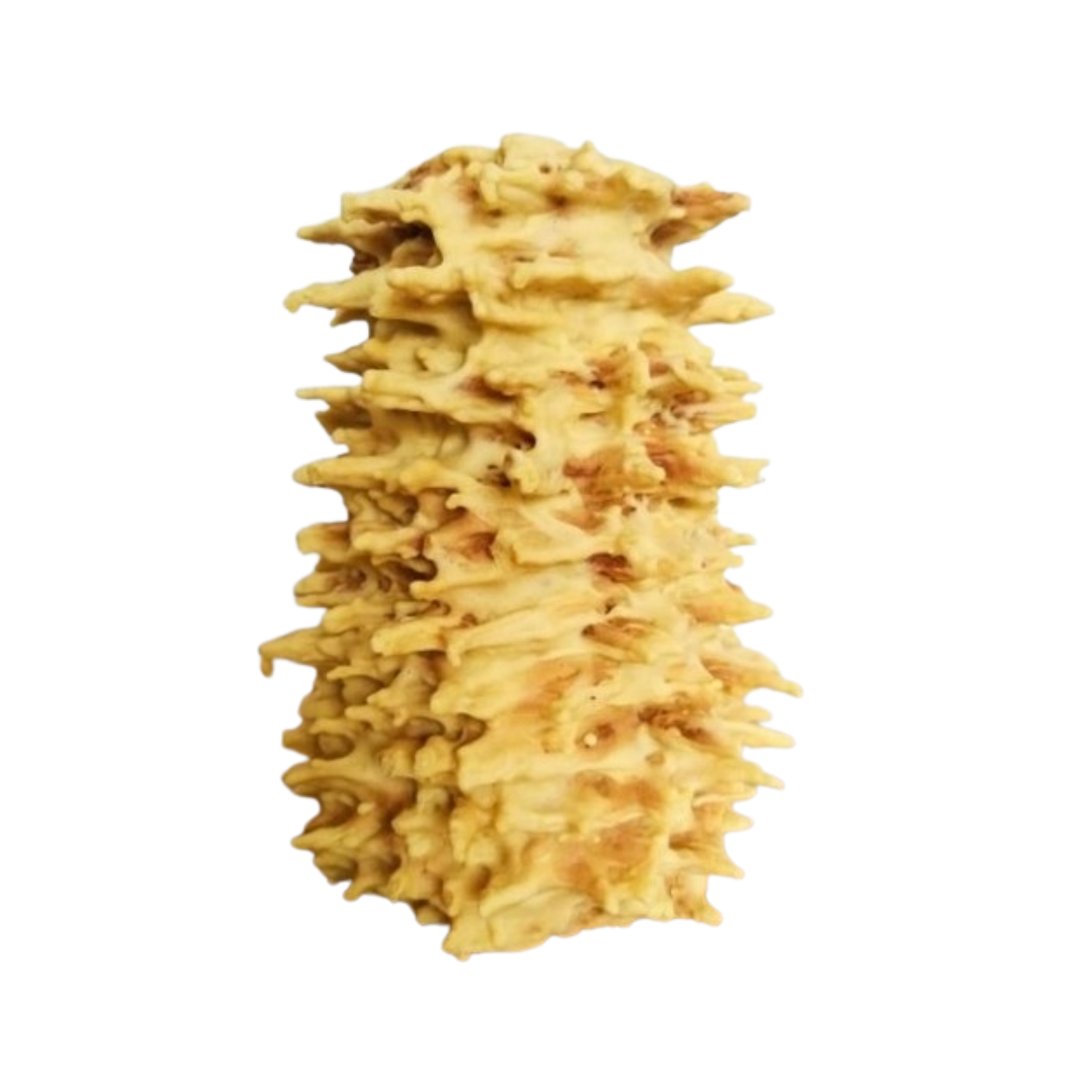 Sakotis